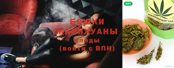 шишки Надым
