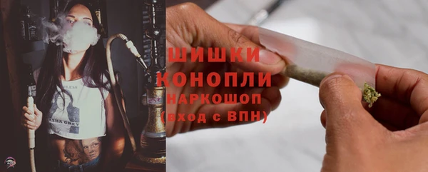 шишки Надым
