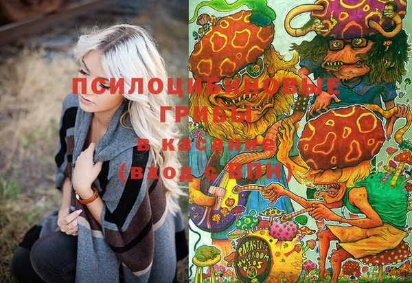 ECSTASY Балахна