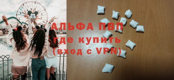 шишки Надым